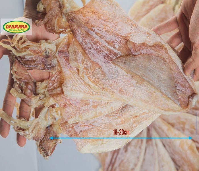 Kích thước mực khô Cô Tô loại 2 thương hiệu Đặc sản Bá Kiến