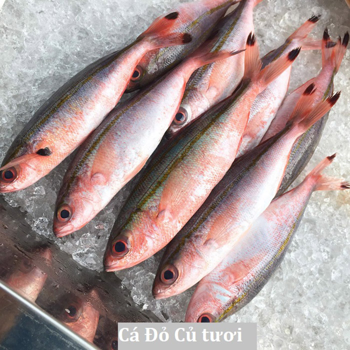 Cá đỏ củ - nguyên liệu tạo nên sự khác biệt của chả cá Lý Sơn